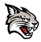 Davidson Logo
