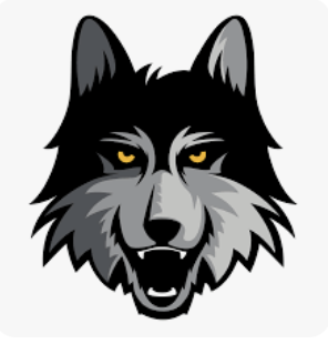 Loyola-Chicago Logo