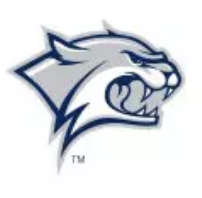 New Hampshire Logo