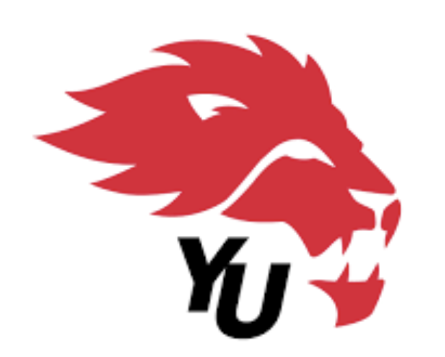 york Logo