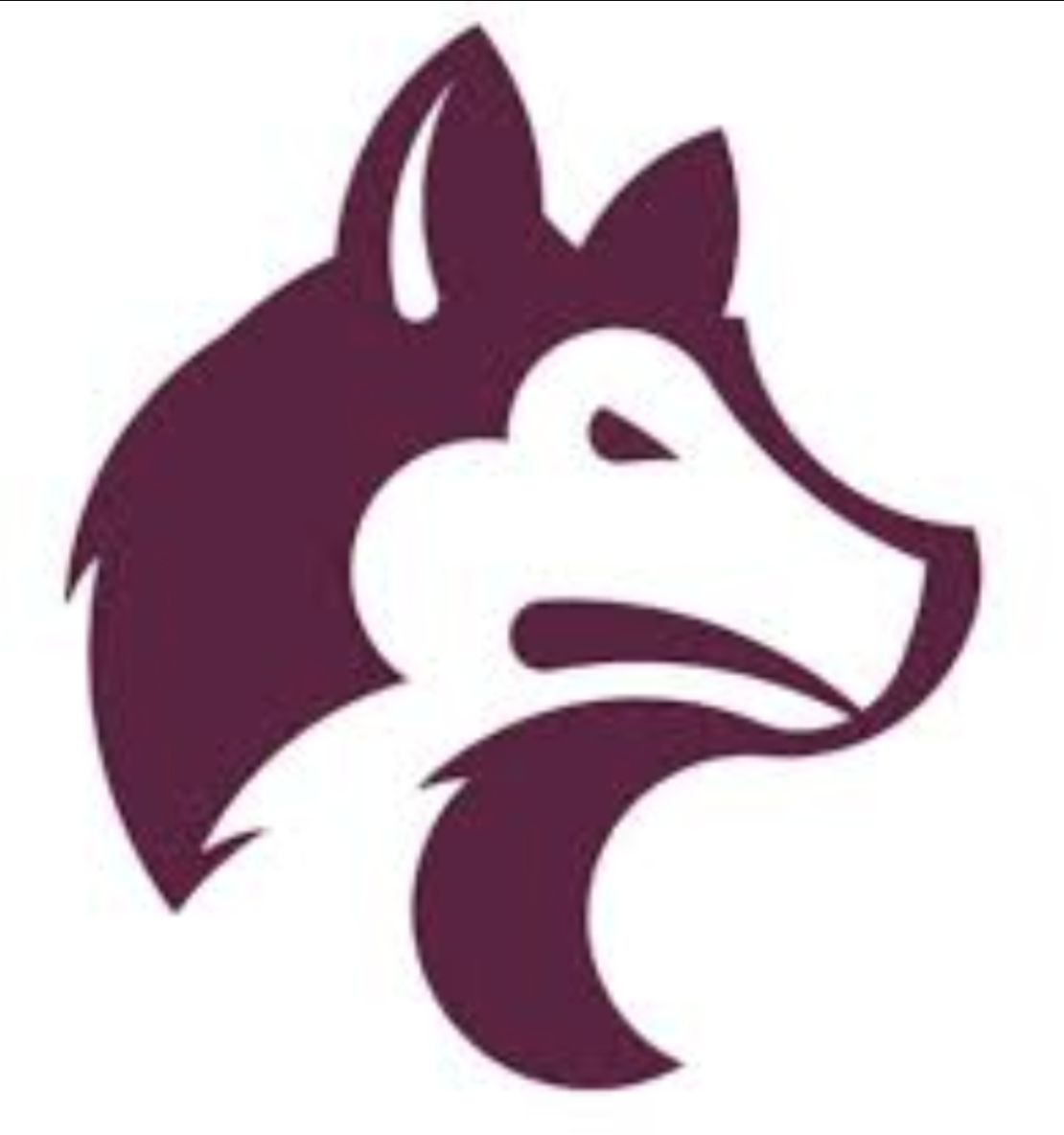 saintmarys Logo