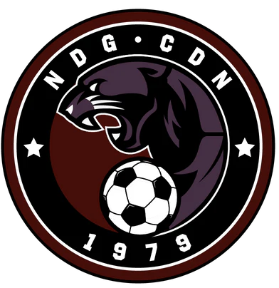 NDGSA Logo