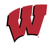 Wisconsin Logo