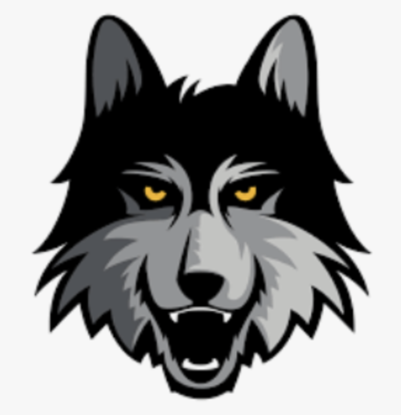 Loyola Chicago (W) Logo