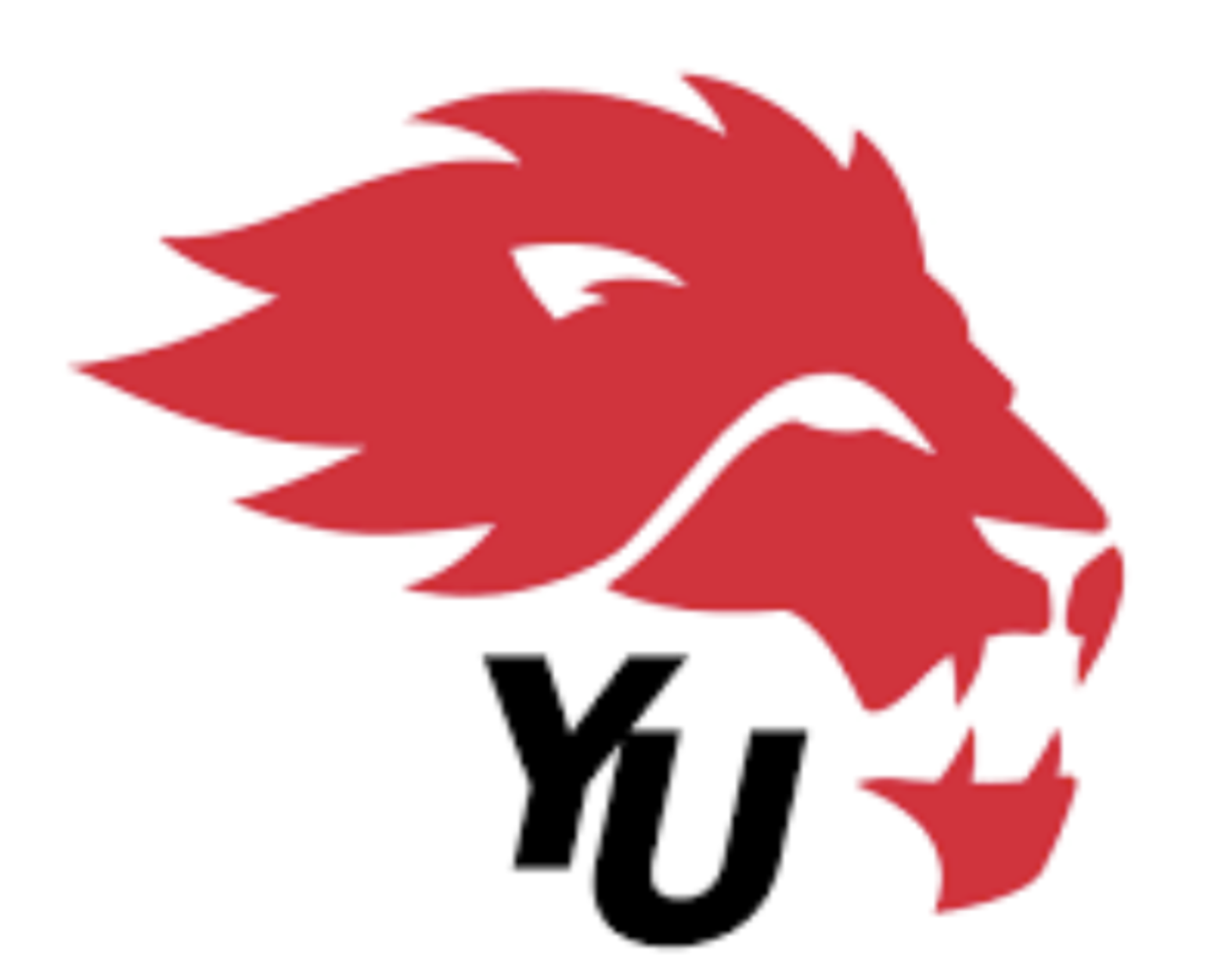 york (M)
