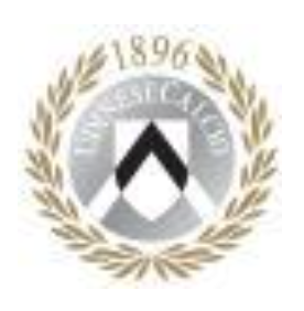 Udinese Calcio