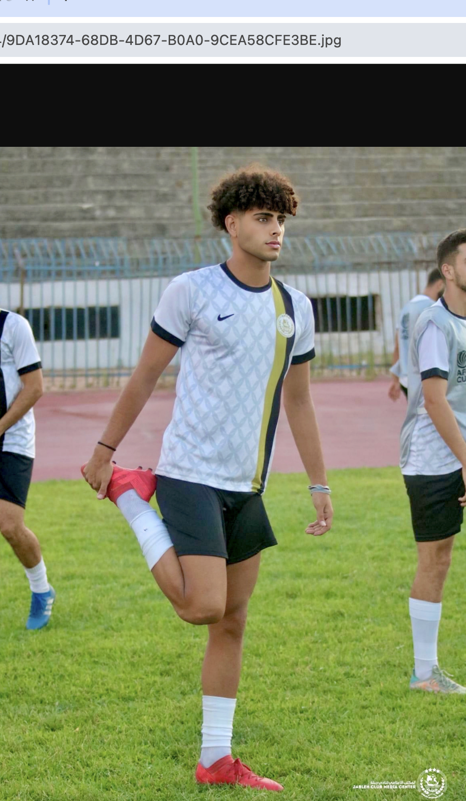Ali Assaad
