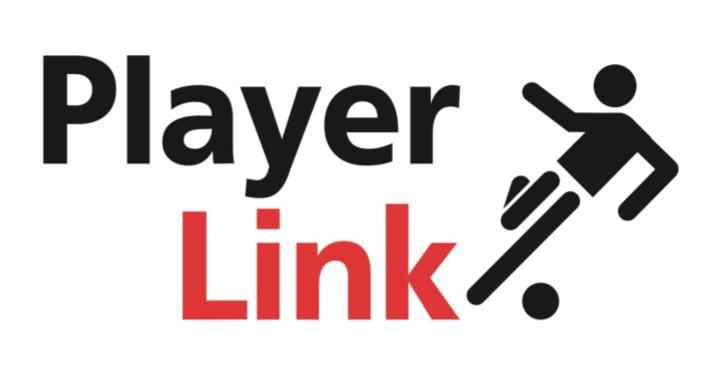 Player Link Logo